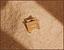 Indiana Jones and The Raiders Of The Lost Ark Covenant Metal Pin