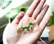 Marvel Studios Loki Alligator Limited Edition Enamel Pin | Toynk Exclusive