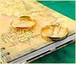 The Lord Of The Rings Glow-In-the-Dark One Ring Earrings