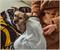 The Karate Kid "Cobra Kai" Lightweight Fleece Throw Blanket | 45 x 60 Inches