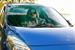 The Big Lebowski The Dude Driving Sunshade for Car Windshield | 64 x 32 Inches