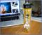 Avatar: The Last Airbender Characters Water Bottle | Holds 16 Ounces