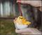 Sanrio Gudetama 4-Inch Shatterproof Decoupage Ornament
