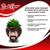 Bob Ross Mini Ceramic Planter with Artificial Succulent Plant