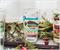 National Lampoon's Christmas Vacation Quotes 16-Ounce Pint Glasses | Set of 4