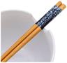Avatar: The Last Airbender Aang and Appa Ceramic Ramen Bowl and Chopstick Set