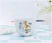 Avatar: The Last Airbender Aang and Appa Ceramic Ramen Bowl and Chopstick Set