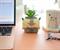 Avatar: The Last Airbender Appa 6-Inch Ceramic Planter With Artificial Succulent