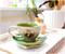 Avatar: The Last Airbender Jasmine Dragon 12-ounce Ceramic Teacup and Saucer Set