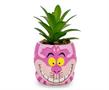 Disney Alice In Wonderland Cheshire Cat Mini Planter with Artificial Succulent
