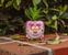 Disney Alice In Wonderland Cheshire Cat Mini Planter with Artificial Succulent