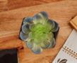 Batman Bat Logo 9x5x5 Inch Ceramic Planter w/ Artificial Plant