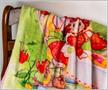 Care Bears x Strawberry Shortcake Fleece Throw Blanket | 45 x 60 Inches