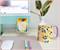 Crayola Crayons Sticky Note and Tab Box Set