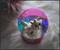 Disney Aristocats Marie "Je Suis Adorable" Light-Up Snow Globe | 6 Inches Tall