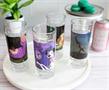 Disney Memes 10-Ounce Tumbler Glasses | Set of 4
