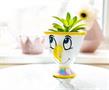 Disney Beauty and the Beast Chip 3-Inch Mini Planter with Artificial Succulent