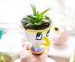 Disney Beauty and the Beast Chip 3-Inch Mini Planter with Artificial Succulent