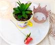 Disney Beauty and the Beast Chip 3-Inch Mini Planter with Artificial Succulent