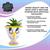 Disney Beauty and the Beast Chip 3-Inch Mini Planter with Artificial Succulent