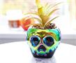 Disney Villains Poison Apple Mini Ceramic Planter with Artificial Succulent