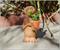 E.T. The Extra-Terrestrial 7-Inch Ceramic Planter With Artificial Succulent