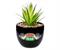 Friends Central Perk Logo Large 7.75 x 4.75 Inch Ceramic Planter