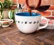 Friends Doodle Logo 24oz Ceramic Soup Mug
