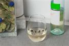 Friends Logo 20oz Stemless Wine Glass