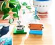 Friends Central Perk Photo Clip Holders | Set of 2