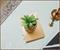 Marvel Studios I Am Groot 3-Inch Ceramic Mini Planter With Artificial Succulent