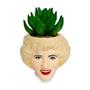 The Golden Girls Rose 3-Inch Ceramic Mini Planter With Artificial Succulent