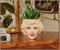 The Golden Girls Rose 3-Inch Ceramic Mini Planter With Artificial Succulent