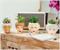 The Golden Girls Rose 3-Inch Ceramic Mini Planter With Artificial Succulent