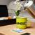 Halo UNSC Ceramic Camper Mug | Holds 20 Ounces