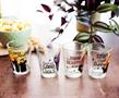 Disney Hocus Pocus Sanderson Sisters Mini Shot Glasses | Set of 4