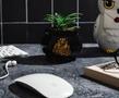 Harry Potter Hogwarts Cauldron Ceramic Mini Planter With Artificial Succulent