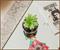 Harry Potter Hogwarts Cauldron Ceramic Mini Planter With Artificial Succulent