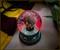 Harry Potter Chibi Mini Light-Up Snow Globe | 3 Inches Tall