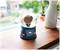 Harry Potter Chibi Mini Light-Up Snow Globe | 3 Inches Tall
