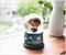 Harry Potter Chibi Mini Light-Up Snow Globe | 3 Inches Tall