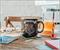 Harry Potter Quidditch Crest Ceramic Camper Mug | Holds 20 Ounces