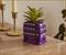 Harry Potter Knight Bus 3-Inch Ceramic Mini Planter With Artificial Succulent