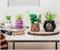 Harry Potter Knight Bus 3-Inch Ceramic Mini Planter With Artificial Succulent