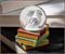 Harry Potter Hedwig the Owl 3-Inch Mini Snow Globe