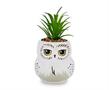 Harry Potter Hedwig 3-Inch Ceramic Mini Planter with Artificial Succulent