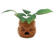 Harry Potter Mandrake Face 6 Inch Ceramic Planter with Faux Plant