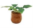 Harry Potter Mandrake Face 6 Inch Ceramic Planter with Faux Plant