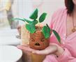 Harry Potter Mandrake Face 6 Inch Ceramic Planter with Faux Plant