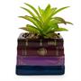 Harry Potter Book Stack 3-Inch Ceramic Planter With Artificial Succulent
